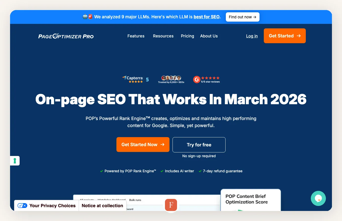Page Optimizer Pro interface screenshot